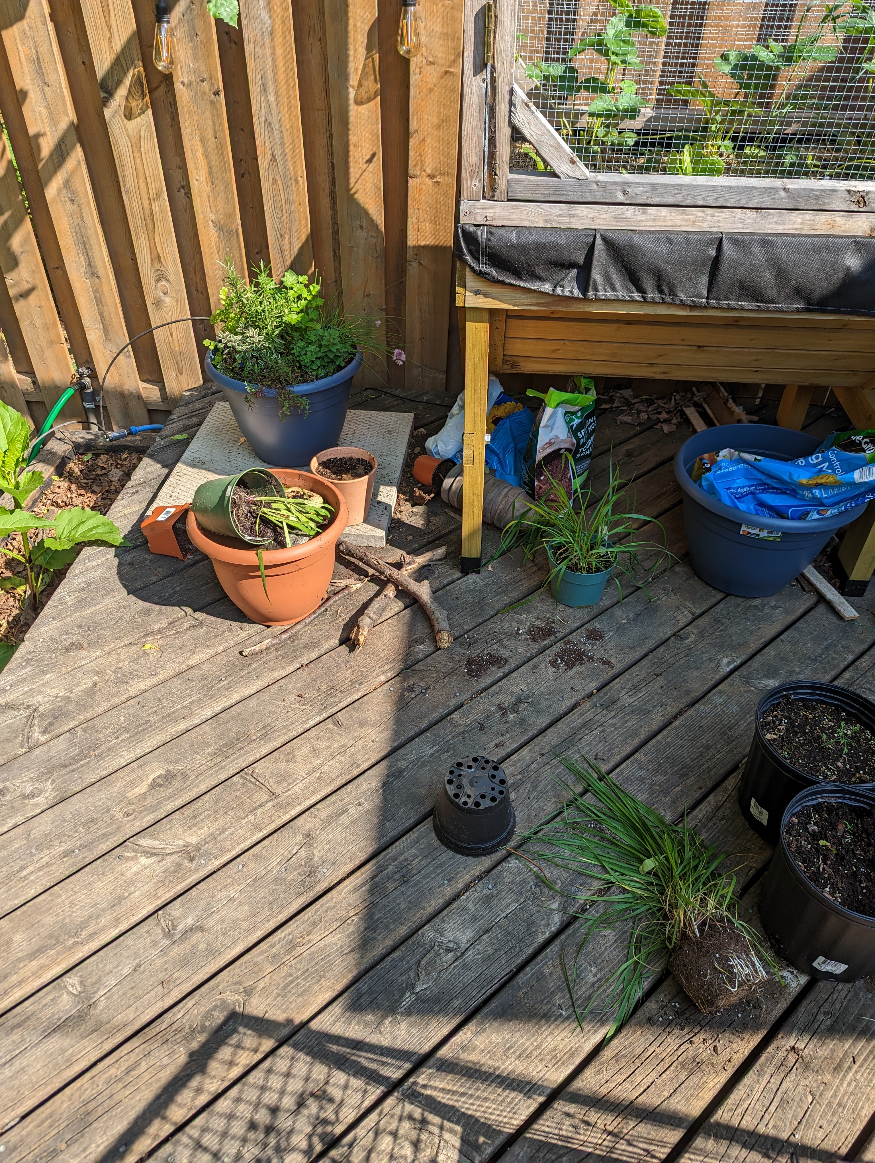 some plants with pots overturned or removed